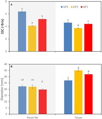 Growth Temperature Influences Postharvest Quality and Cold Tolerance of Green Harvested Dwarf Tomatoes During Storage